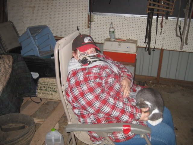 003.jpg