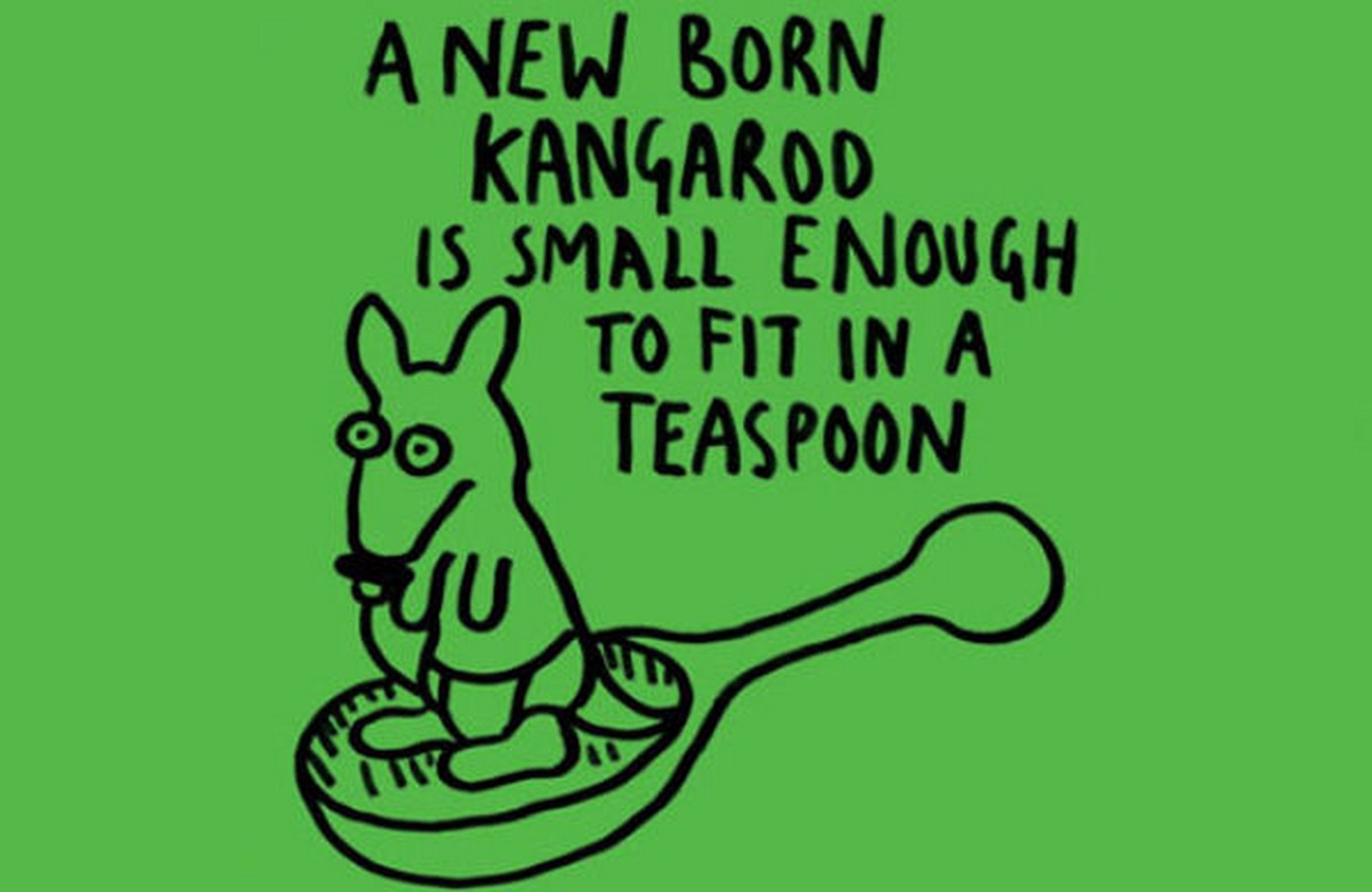 fun-facts-0040.jpg