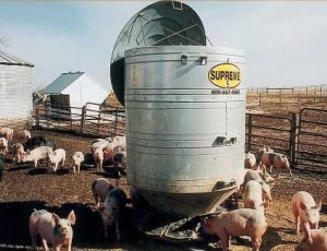 SupremeHogFeeder-300x230.jpg