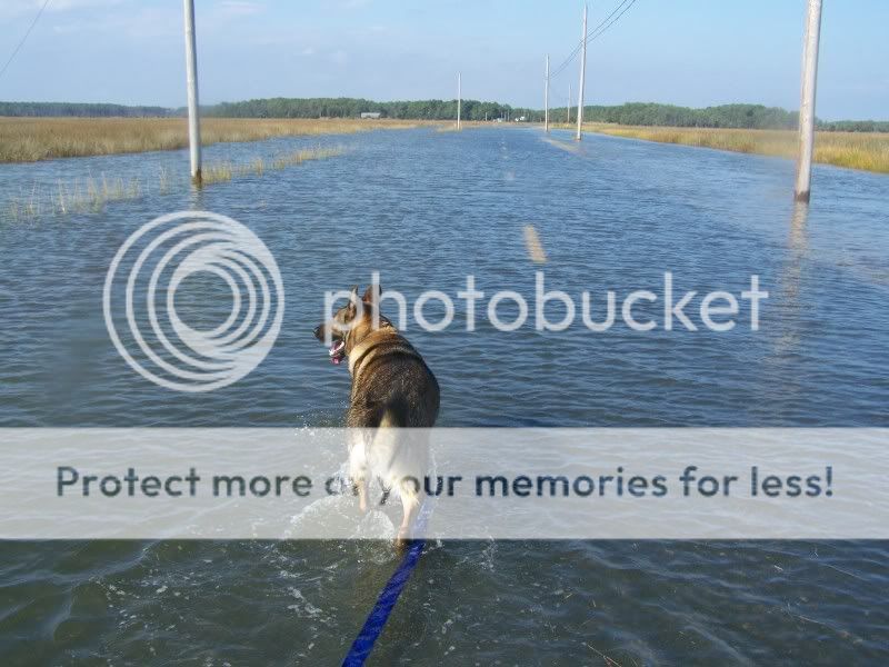 tide13.jpg