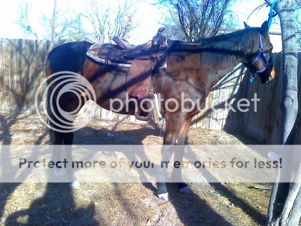 jpeg_reencoded_347369.jpg