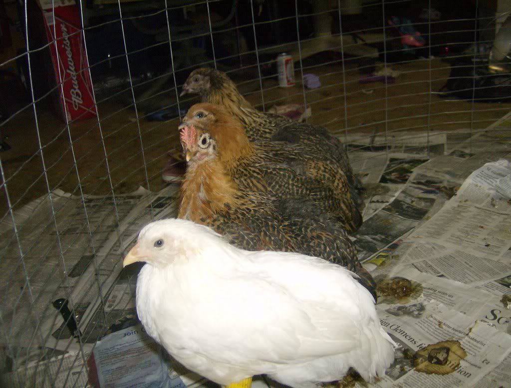 HPIM0521.jpg