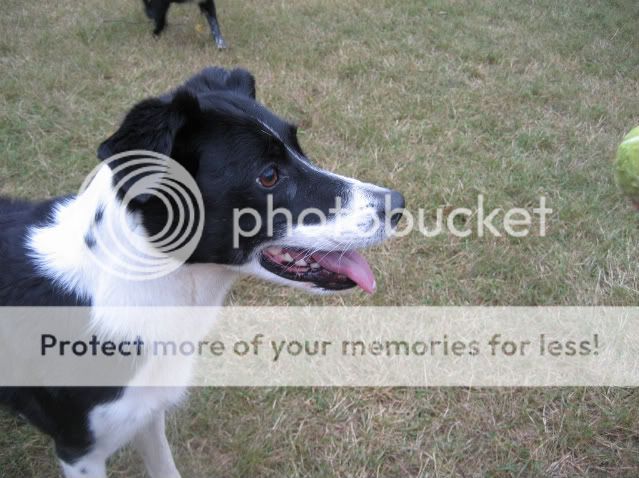 IMG_2598.jpg
