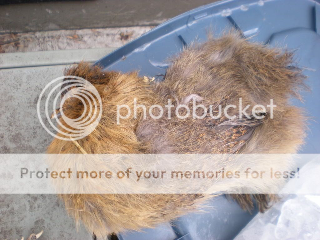 DSCN0101.jpg
