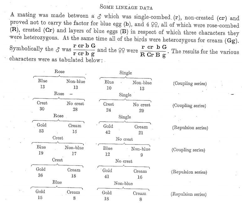 4b1fc0f4_BlueEggshellGene1.jpeg