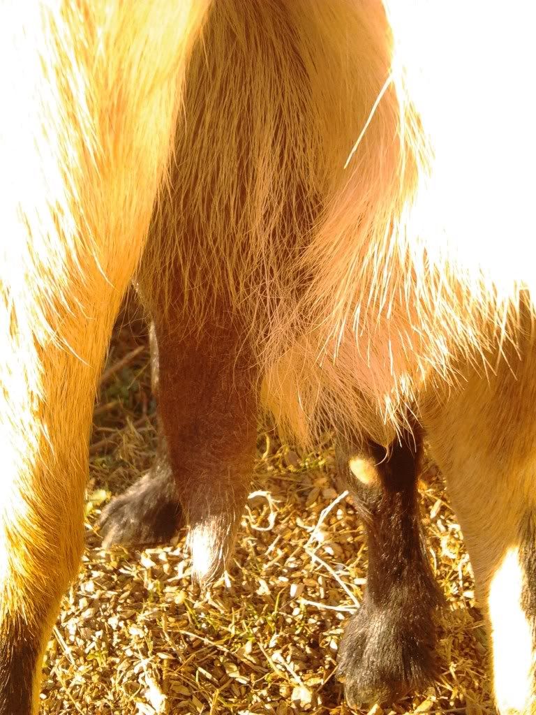 IMG_20120105_084250.jpg
