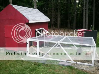 2011-07-17171259.jpg