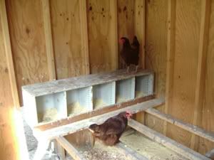NestBoxesMailRoomBins.jpg