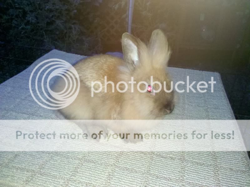 2011-07-05_21-03-19_35.jpg