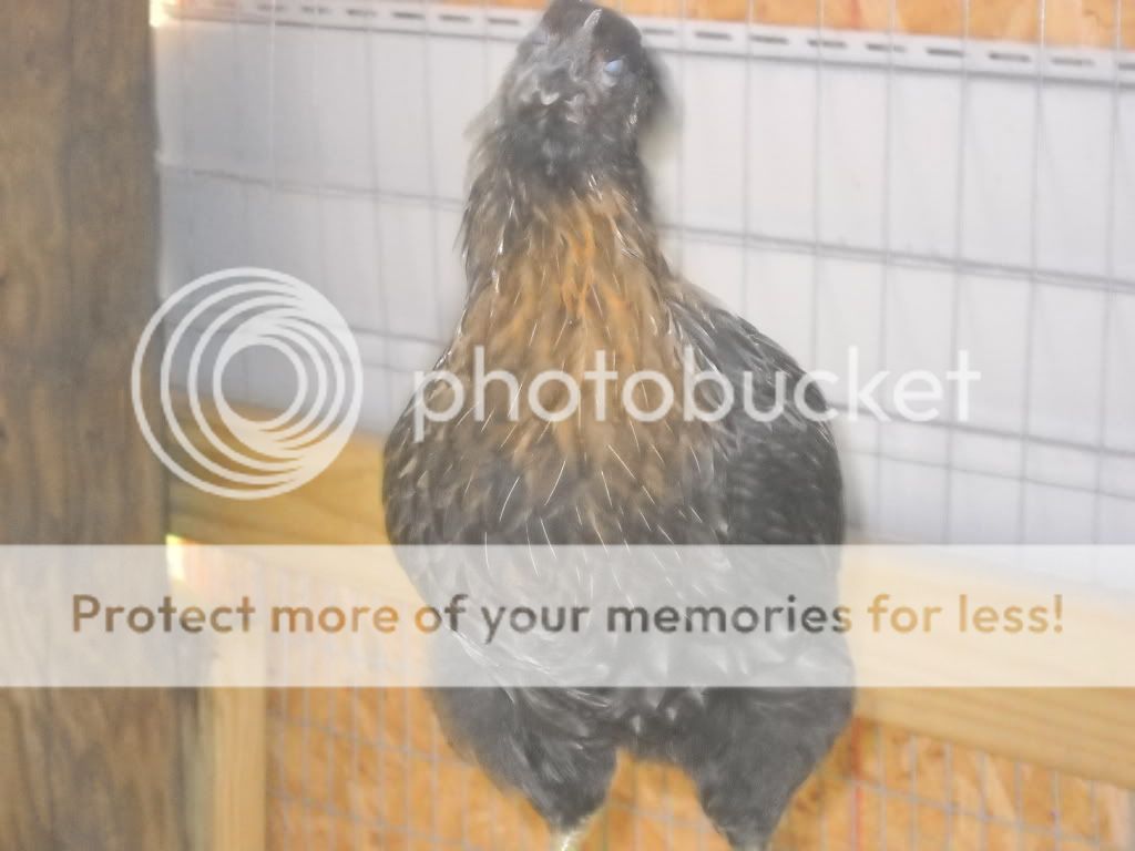 may192011021.jpg
