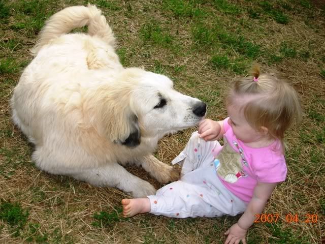 DSCN2387.jpg