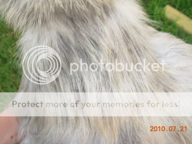 DSCN2627.jpg