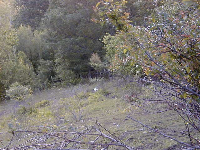 P1010261.jpg