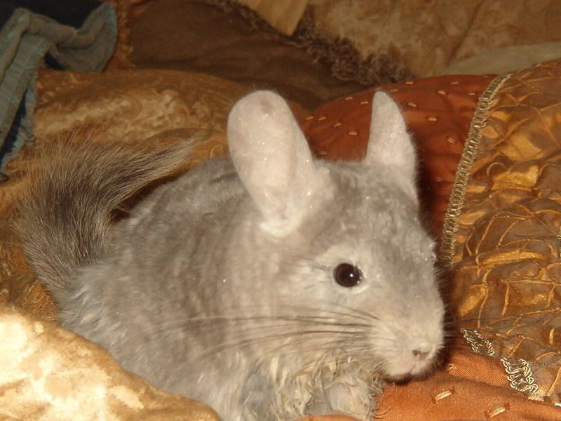 IM002046.jpg