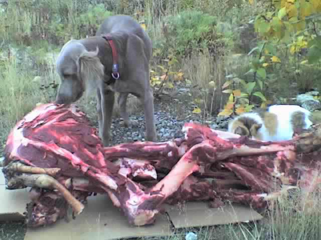 09-11-07_1409.jpg