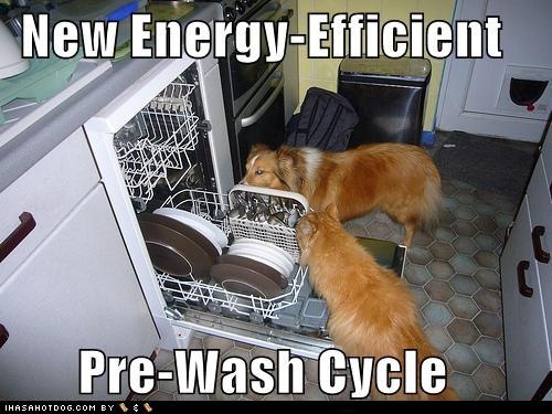 ce653f75121749f30d220894b2c76ac4--clean-house-cycle.jpg