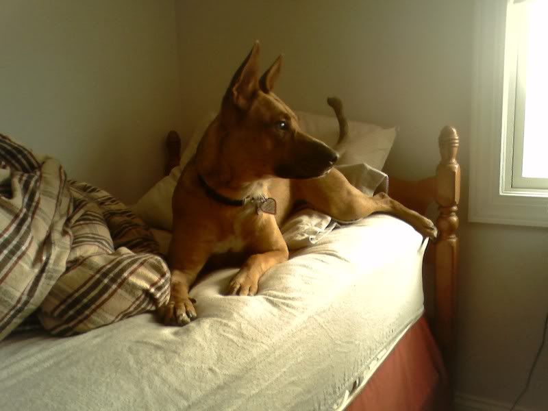 010808_1255.jpg