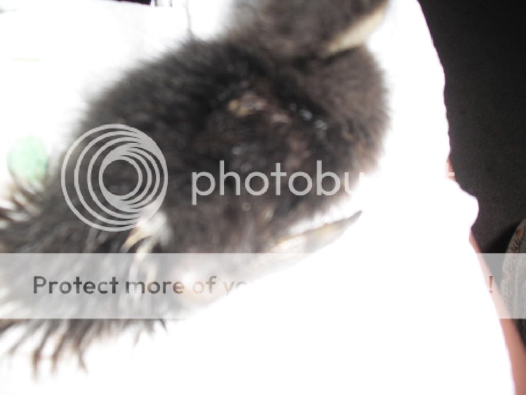 DSCF1249.jpg