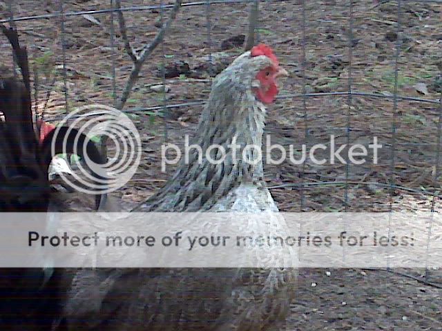 IMG01640.jpg