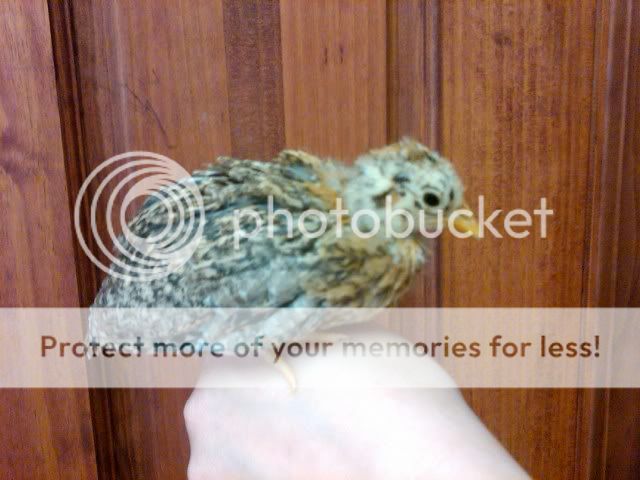 IMG00043-20100505-1626.jpg