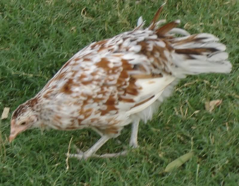 DSC00791.jpg