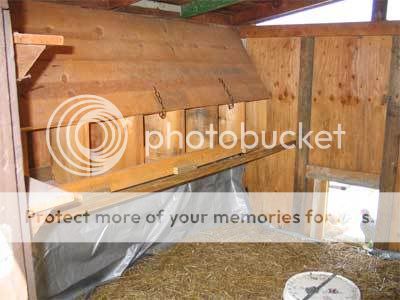 web-Nest-box-view.jpg