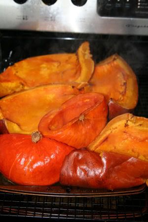 pumpkinsquashes.jpg