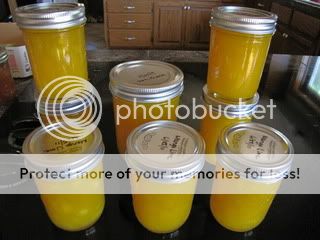 IMG_3931.jpg