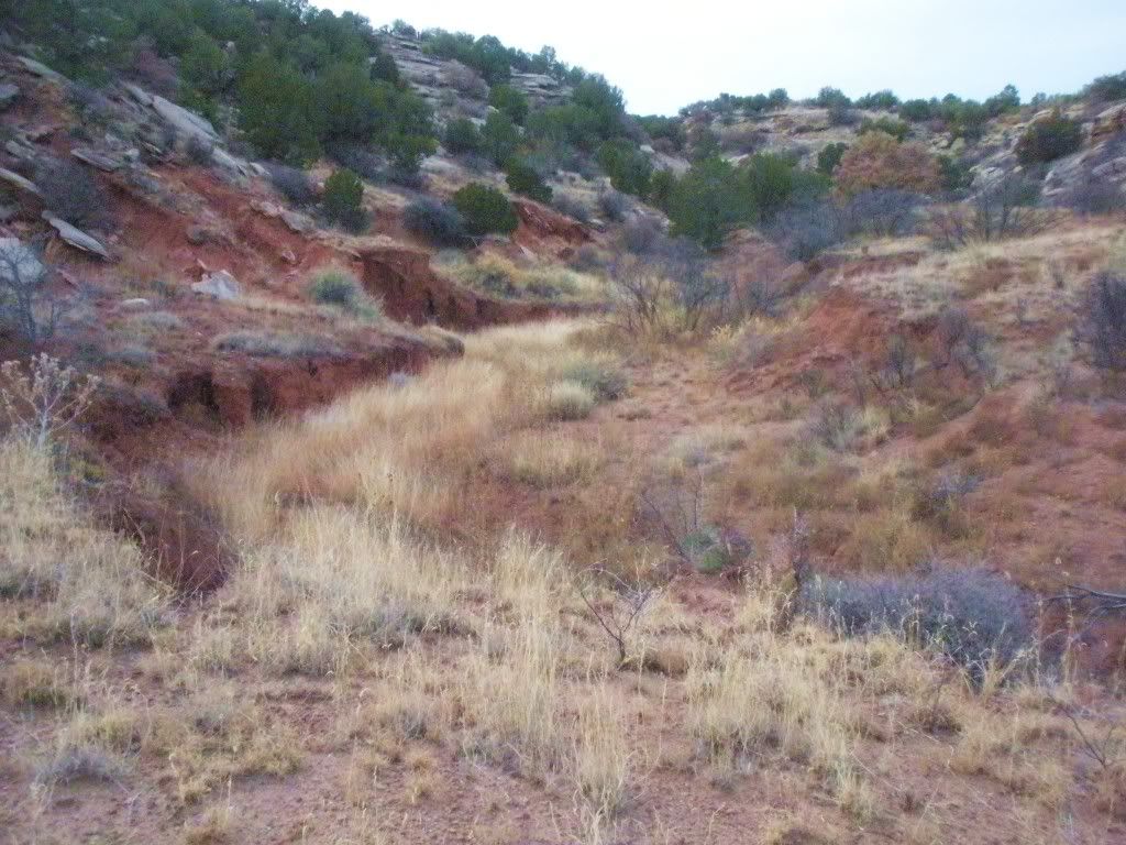 DSCN2795.jpg