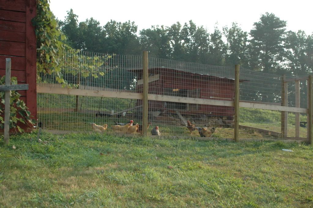 DSC_0139.jpg