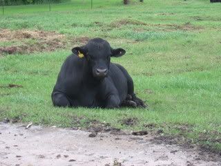 IMG_0718.jpg