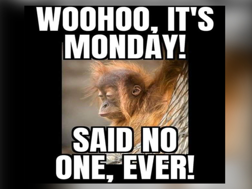 20 Monday Humor Memes for Hardcore Monday Haters - Epic Fails