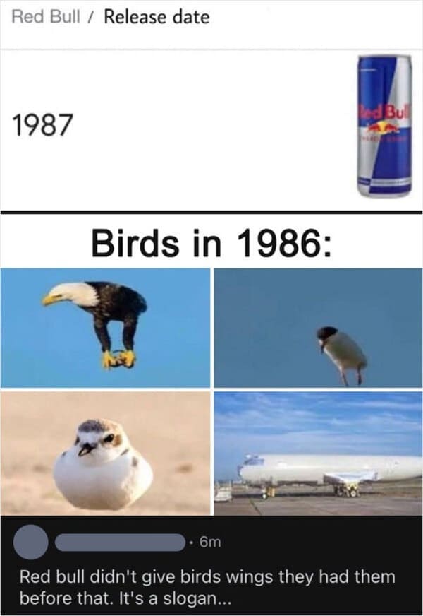87369949.jpg