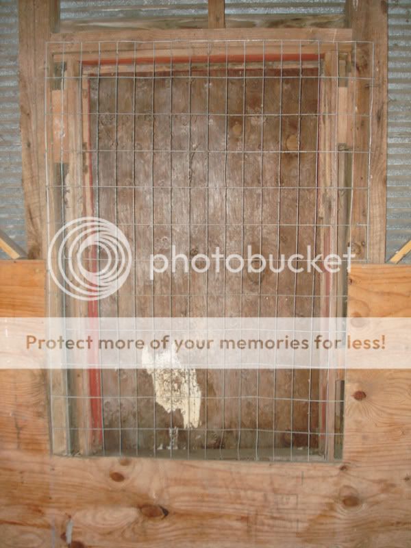 window.jpg