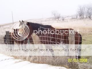 100_2780.jpg