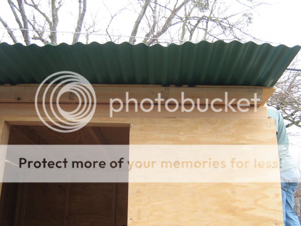 CoopBuilding074.jpg