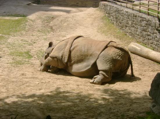 zoo17.jpg