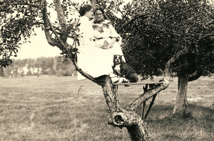 Helen Keller and Anne Sullivan sit on a wooden platform built on a low branch of a tree. Helen’s dog Phiz sits at their feet. 