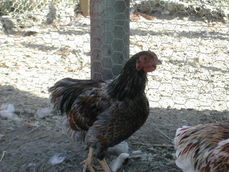 DSCN5647.jpg