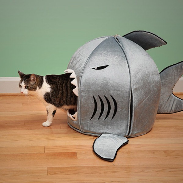 funny-shark-pet-houses-with-nanotechnologies-1.jpg