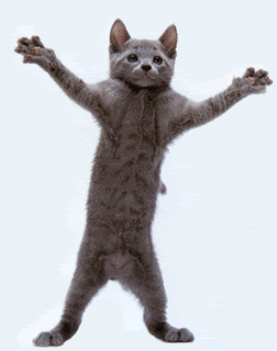 funny_cat_dancing_animation.gif