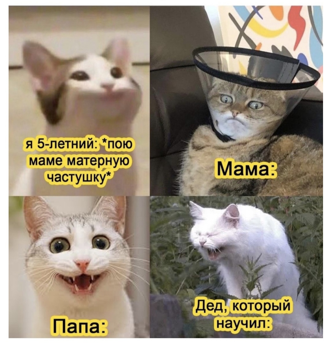 qe7cimwe_lg.jpg