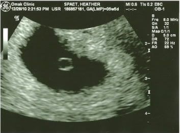 Picture-1.jpg