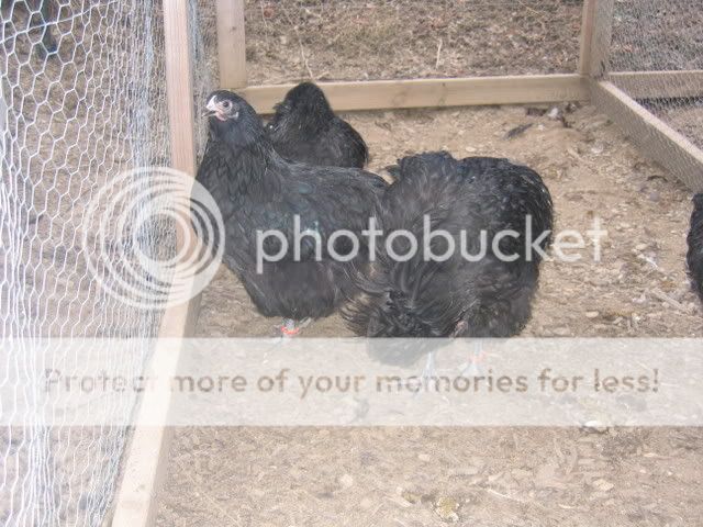 IMG_2094.jpg