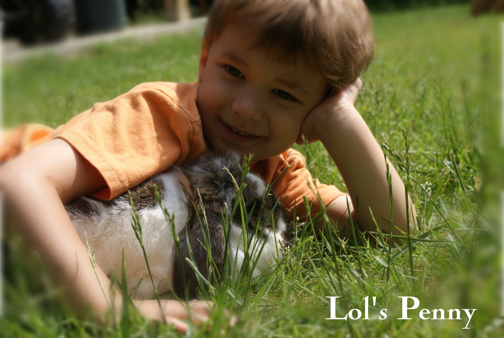Rabbits_6109012-1.png