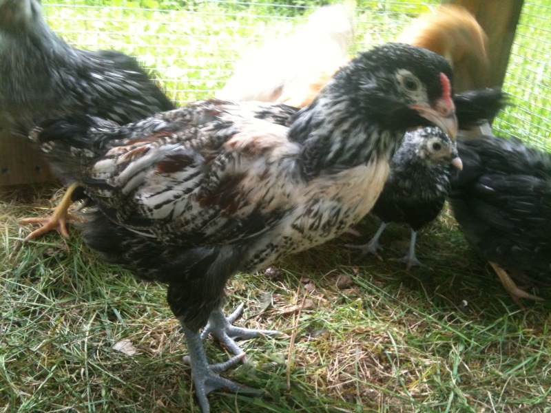 photo-11.jpg