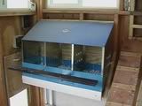 20070616_NestsReady-1.jpg