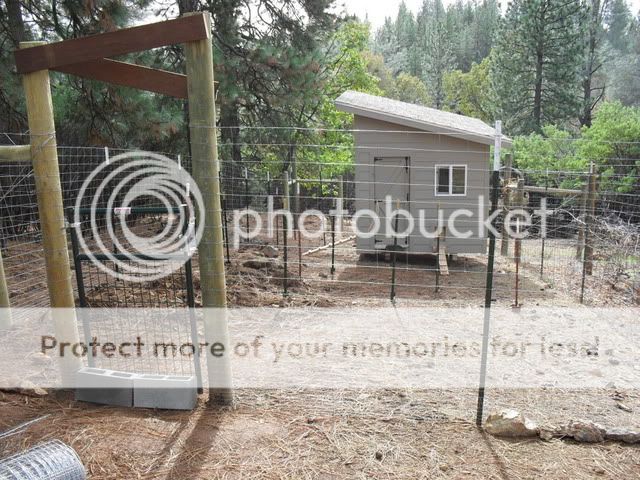 SDC10955.jpg