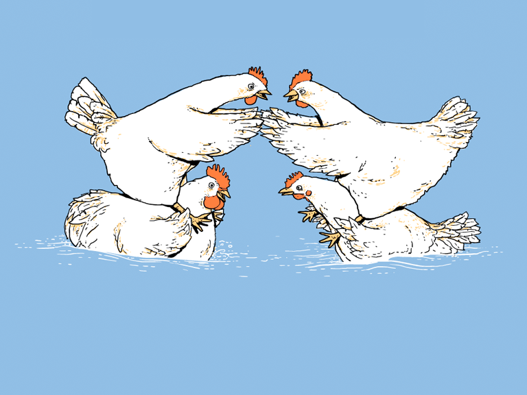 Chicken_Fight1bsDetail.png