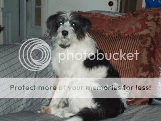 7-27-0779.jpg